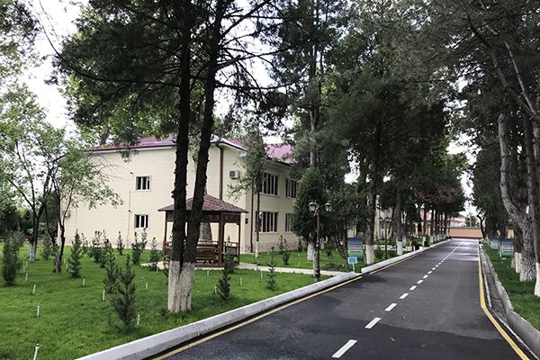 ENERGETIKLAR SIHATGOHI